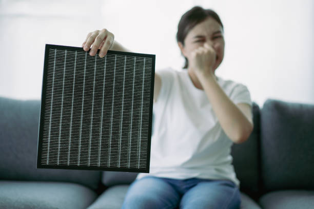 Best Air Vent Cleaning Services  in Marshall, MI